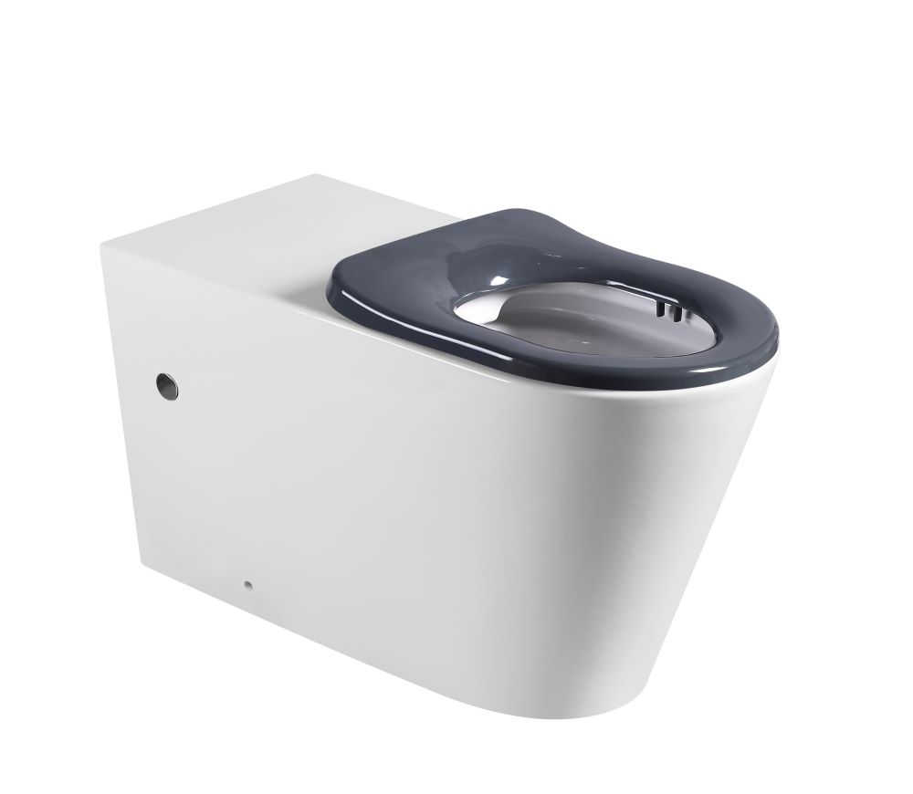 Zumi Cara Care Wall-Faced Toilet Pan and Seat Only – official Zumi gallery – Cara Care Wall Faced Floor Pan