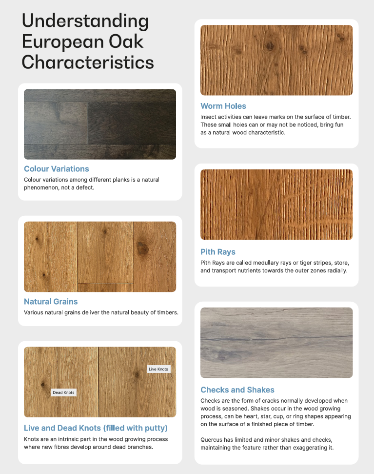 Infographic on European Oak characteristics with images and text.