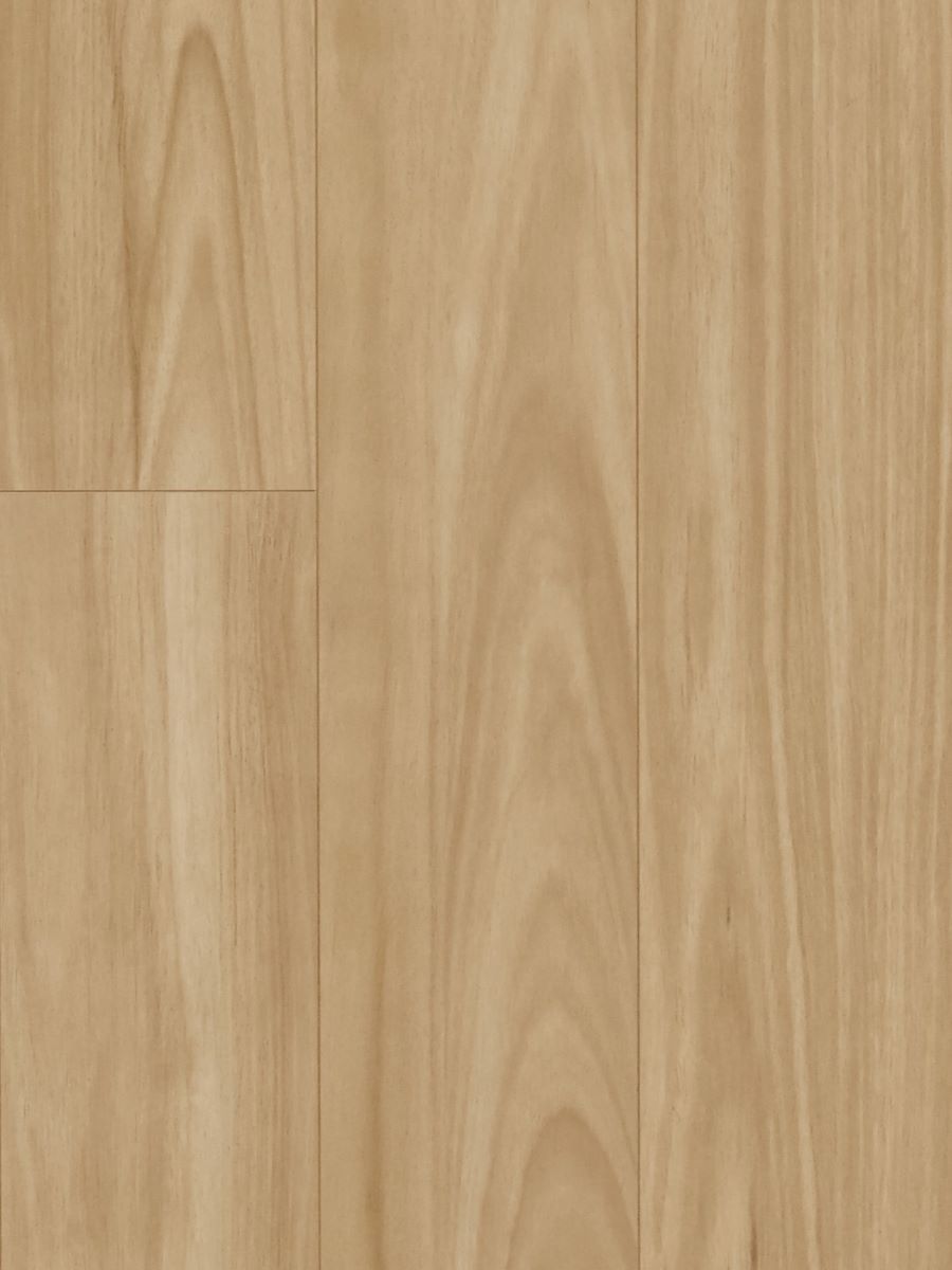 MTF Blackbutt water-resistant laminate flooring product image