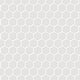 White Porcelain Hexagon Mosaic Tile