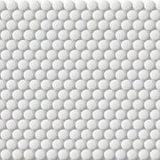 White Porcelain Penny Round Mosaic Tile 315x310mm