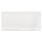 Luxe Ceramic Wall Tile