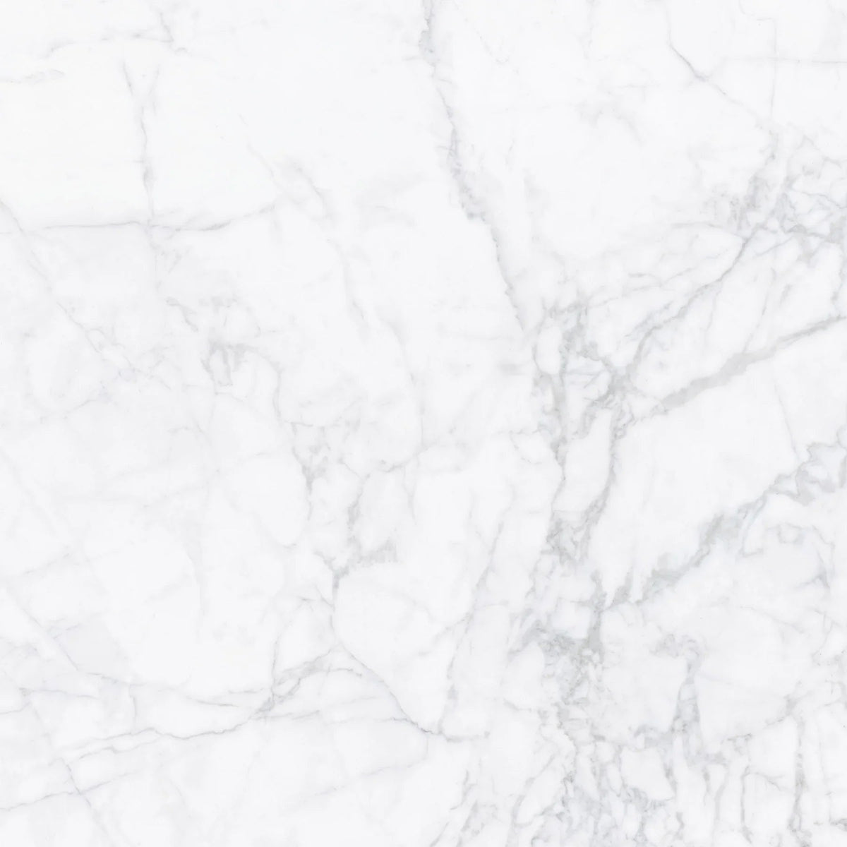 carrara tile variant Carrara Stone 1800 White pd