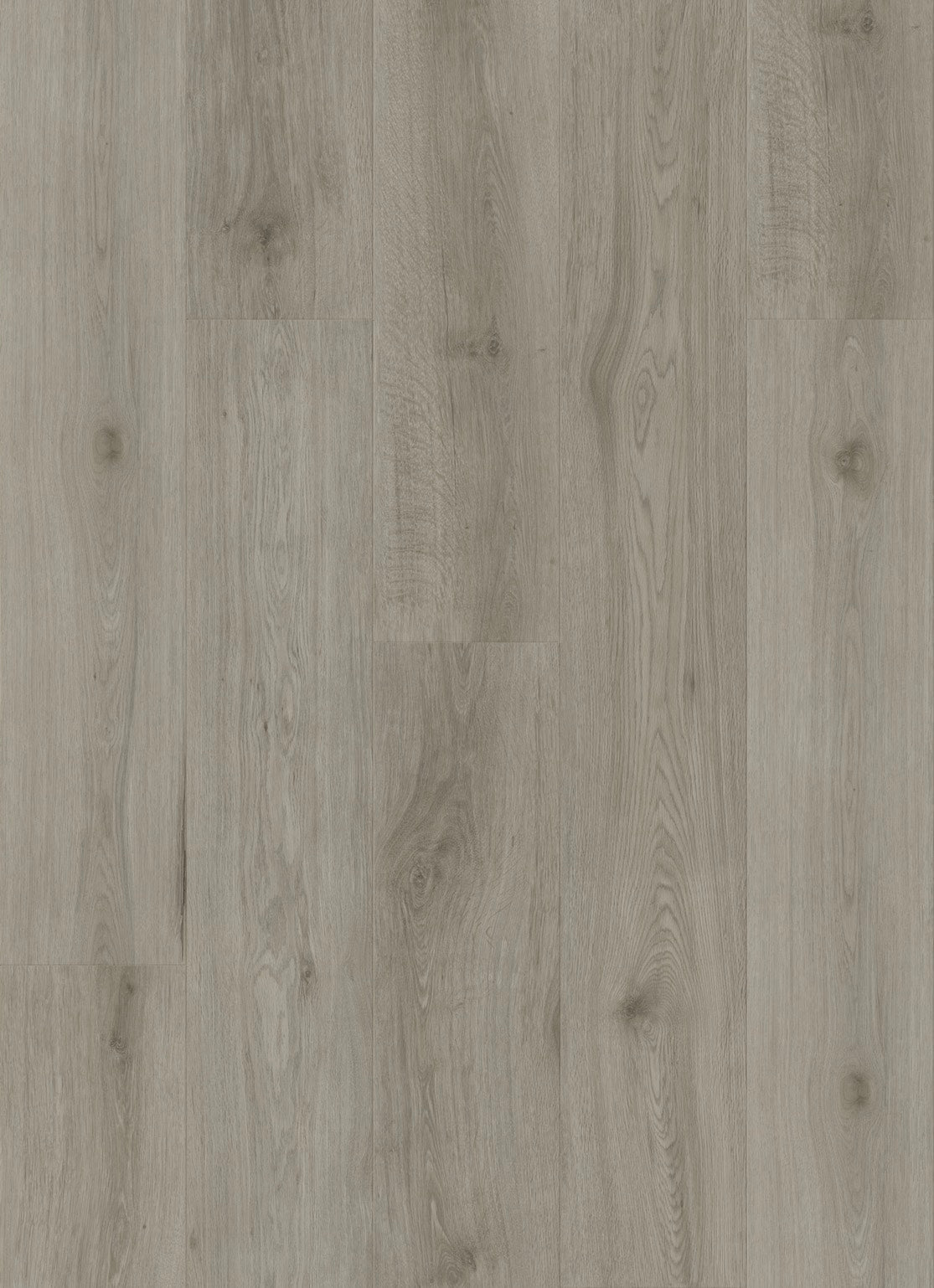 Arctic Grey Hybrid Flooring 7mm board image