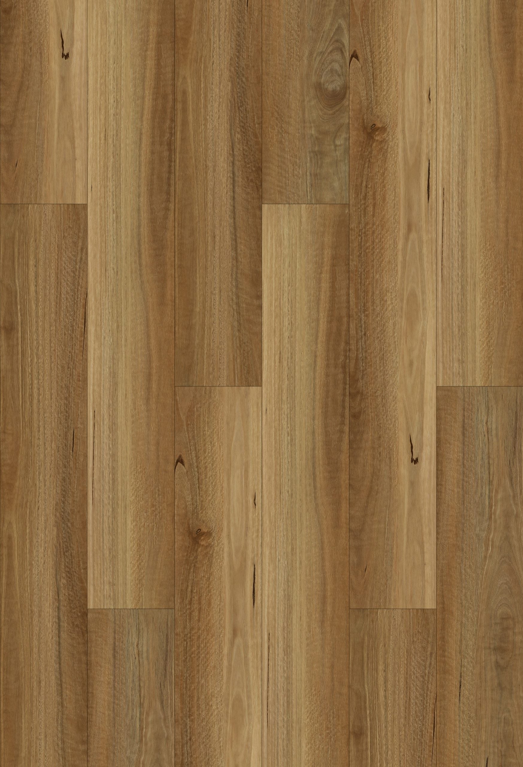 NSW Spotted Gum Hybrid Flooring 7mm board image