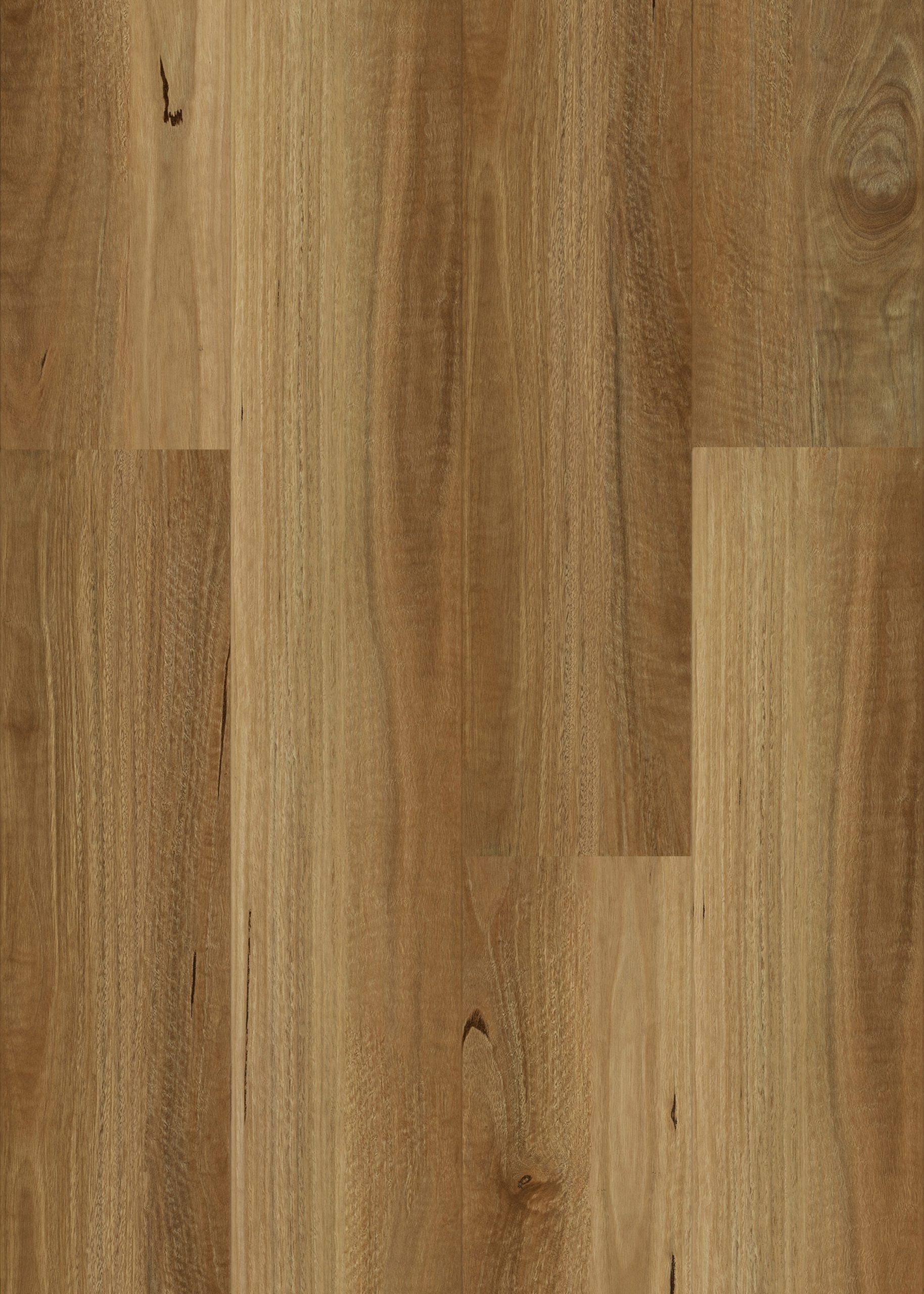 NSW Spotted Gum Hybrid Flooring 9mm board image