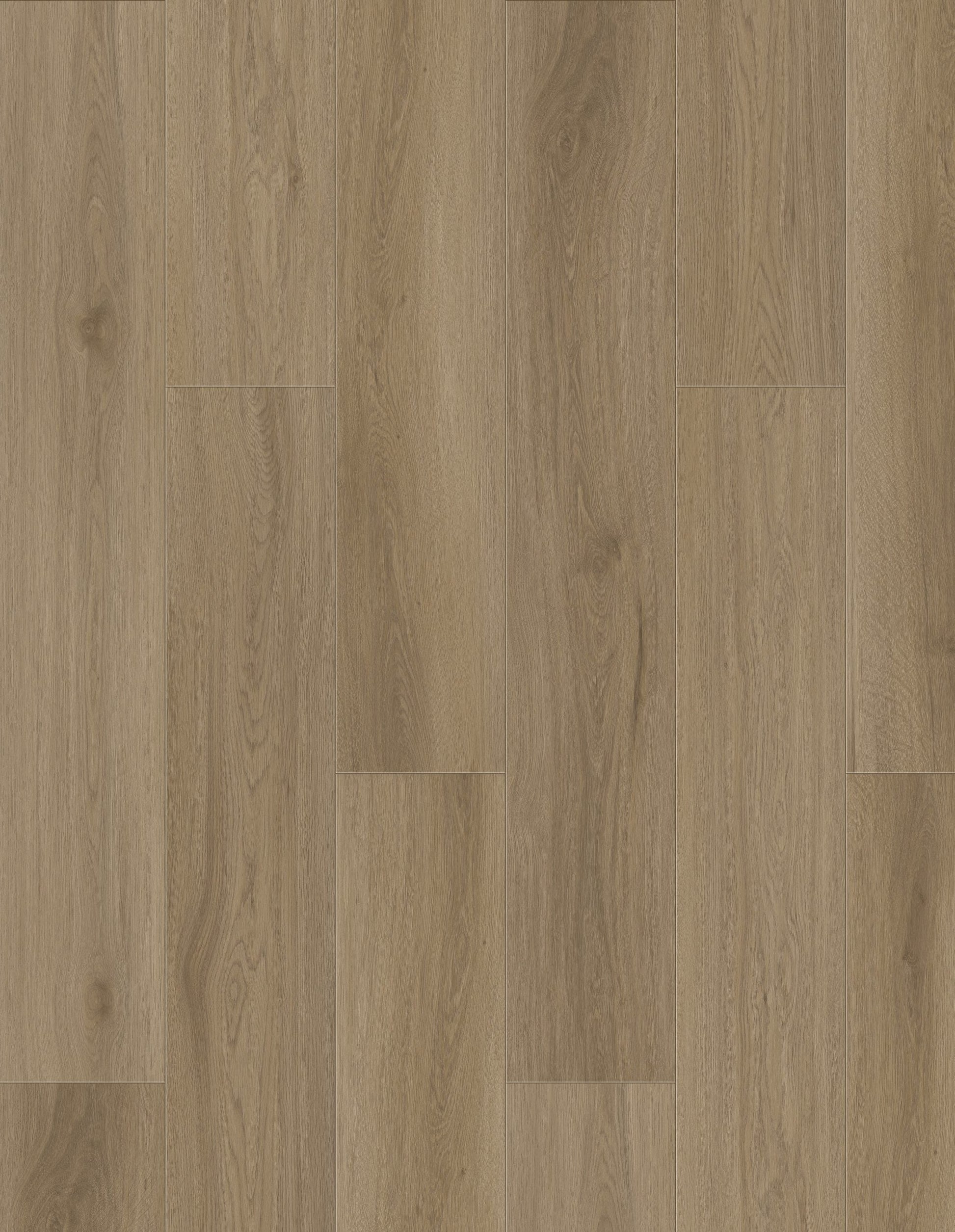 Pale Oak Hybrid Flooring 9mm board image