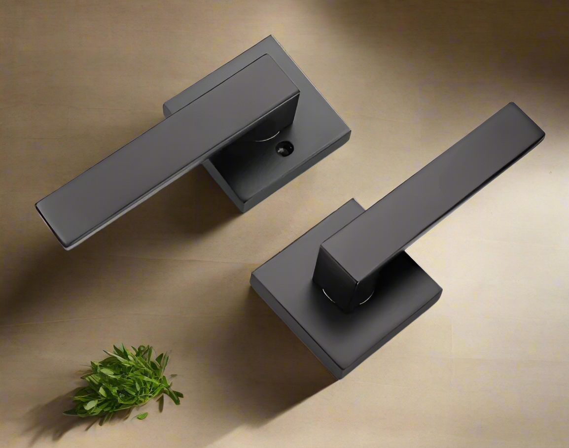 A black door handle with a lever and a keyhole, displayed on a wooden surface with a plant in the background.