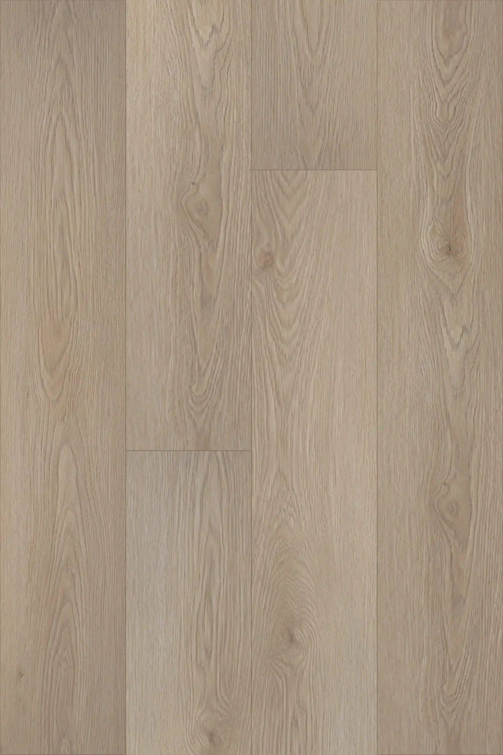 Supacore Laminate Flooring 1204
